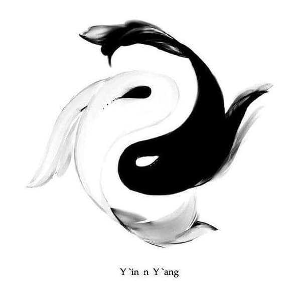 Yin/Yang Yoga