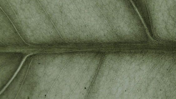 The Holicom studio